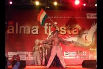 Alma Fiesta 2011 1