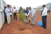 Plantation by Director IIT Bhubaneswar 