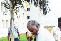 Plantation Programme