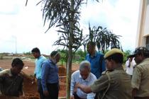 Plantation Programme