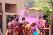 Holi 2019