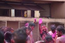 Holi 2019