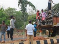 Plantation Drive from IIT Main Gate ( Khudupur Square)  to NISER Square 2019