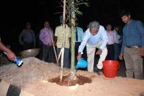 Photo Gallery (Plantation Drive from IIT Main Gate ( Khudupur Square) to NISER Square 2019)