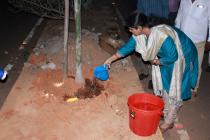 Photo Gallery (Plantation Drive from IIT Main Gate ( Khudupur Square) to NISER Square 2019)