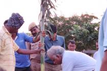 Photo Gallery (Plantation Drive from IIT Main Gate ( Khudupur Square) to NISER Square 2019)