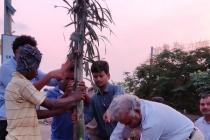 Photo Gallery (Plantation Drive from IIT Main Gate ( Khudupur Square) to NISER Square 2019)