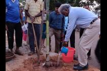 Photo Gallery (Plantation Drive from IIT Main Gate ( Khudupur Square) to NISER Square 2019)