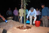 Photo Gallery (Plantation Drive from IIT Main Gate ( Khudupur Square) to NISER Square 2019)