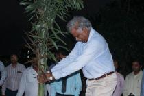 Photo Gallery (Plantation Drive from IIT Main Gate ( Khudupur Square) to NISER Square 2019)