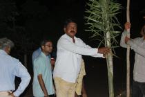 Photo Gallery (Plantation Drive from IIT Main Gate ( Khudupur Square) to NISER Square 2019)