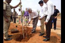 Plantation drive on the eve of World Environment Day