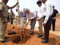 Plantation drive on the eve of World Environment Day