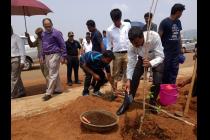Plantation drive on the eve of World Environment Day