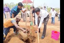 Plantation drive on the eve of World Environment Day