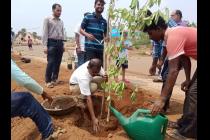 Plantation drive on the eve of World Environment Day