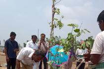 Plantation drive on the eve of World Environment Day