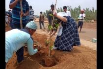Plantation drive on the eve of World Environment Day