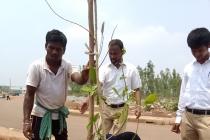 Plantation drive on the eve of World Environment Day