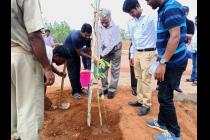 Plantation drive on the eve of World Environment Day