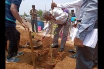 Plantation drive on the eve of World Environment Day