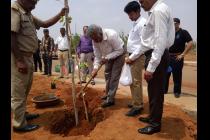 Plantation drive on the eve of World Environment Day