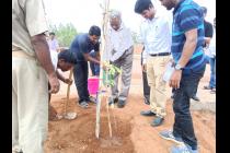 Plantation drive on the eve of World Environment Day