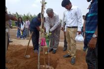 Plantation drive on the eve of World Environment Day
