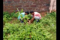 UBA Plantation Drive by IIT Bhubanesar at Khudupur & Poda Poda Promary Schools