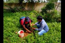 UBA Plantation Drive by IIT Bhubanesar at Khudupur & Poda Poda Promary Schools