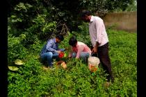 UBA Plantation Drive by IIT Bhubanesar at Khudupur & Poda Poda Promary Schools