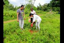 UBA Plantation Drive by IIT Bhubanesar at Khudupur & Poda Poda Promary Schools