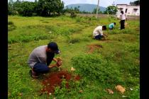 UBA Plantation Drive by IIT Bhubanesar at Khudupur & Poda Poda Promary Schools
