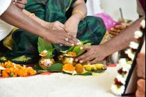 The Unveiling of the Director's Bungalow