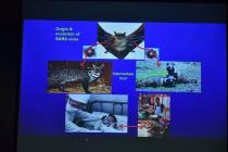 Awareness Programme on Novel Corona Virus (Covid-19) Organized At IIT Bhubaneswar