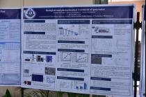 National Science Day and its 11th Research Scholars' Day (Day-2, 28th Feb'2021)