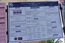 National Science Day and its 11th Research Scholars' Day (Day-2, 28th Feb'2021)