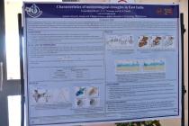 National Science Day and its 11th Research Scholars' Day (Day-2, 28th Feb'2021)