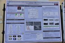 National Science Day and its 11th Research Scholars' Day (Day-2, 28th Feb'2021)